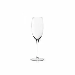Plumm Outdoors 255ml Sparkling Champagne Glass Set Of 4