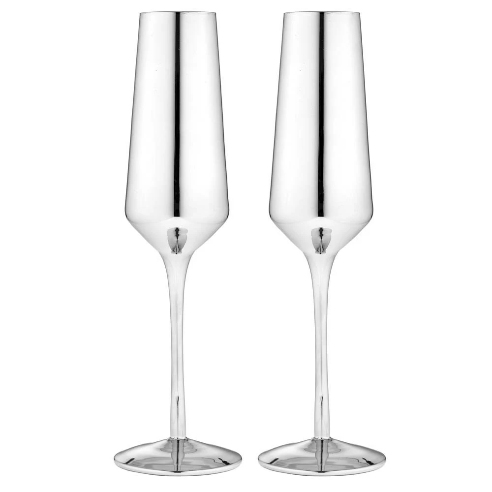 Tempa Aurora Set Of 2 Champagne Glasses Silver