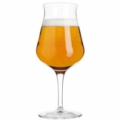 Luigi Bormioli Birrateque 420ml Craft Beer Tester Glass Set Of 2